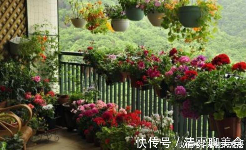 养花|塑料袋是好东西,养花经常用到,它有3个“妙用”,新手牢记!