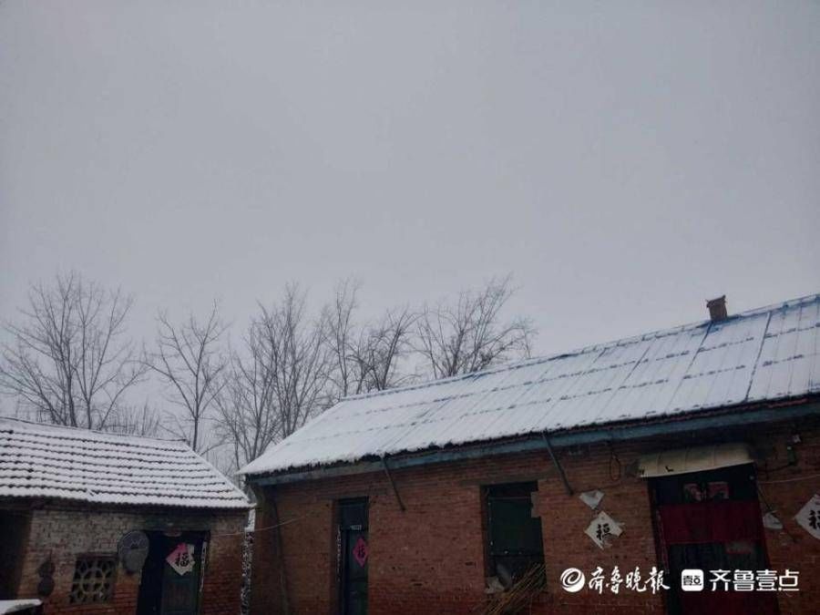 情报|1月5日最佳情报｜新年初雪！情报站年味渐浓，正能量满满，赞