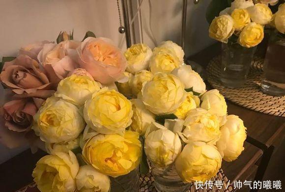 阳台必备的3种“月季花”,勤花“抗病”好养活,养10盆也不多