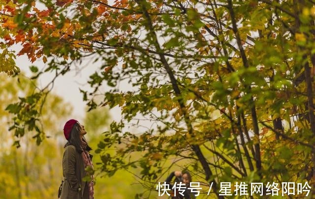 百合英文怎么写