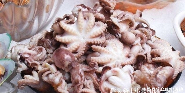 意外|三斤八爪鱼塞进矿泉水瓶,扔水中煮一个小时,拿出来切片,超意外