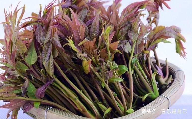 氨基酸|女人想皮肤好,多吃4种食物,排毒美容,清热解毒,大肚腩不见了