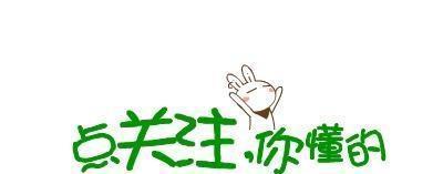 一人之下|她身为贵妃，一人之下万人之上，却因出身卑微，只做了九天的太后