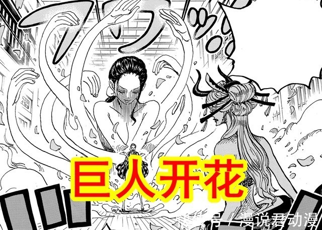 玛利亚|海贼王最新情报:弗兰奇老年照公布,罗宾巨人开花消耗大量体力