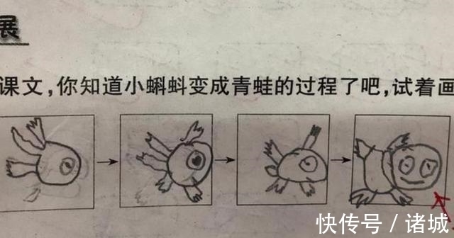 爪子|蝌蚪如何变身青蛙?孩子无穷想象力,图画全方位多角度“逆生长”