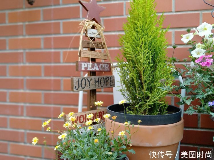 美好时光|花园改造:3年前买了栋带170㎡花园的房子,过上种花草的乡村生活