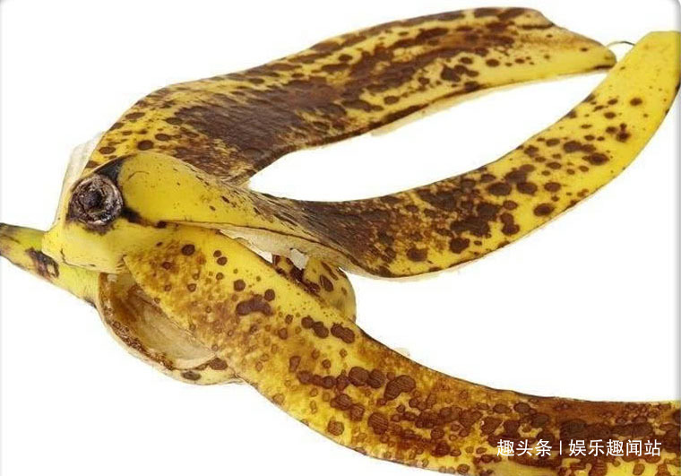 香蕉皮和红糖泡在一起，用来浇花效果惊艳，看完抓紧试试