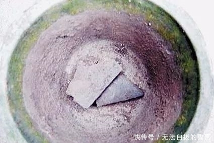 花盆里加点这个,10年不用换盆,花儿越开越旺!