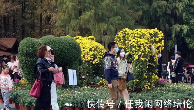 下跌|南京各区房价4区破4万,7区下跌