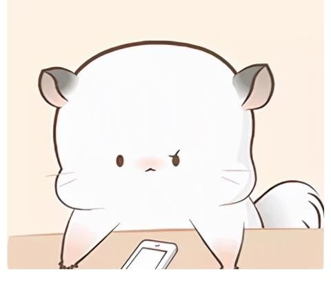 天呐，这个嘉宾阵容也太上头了吧