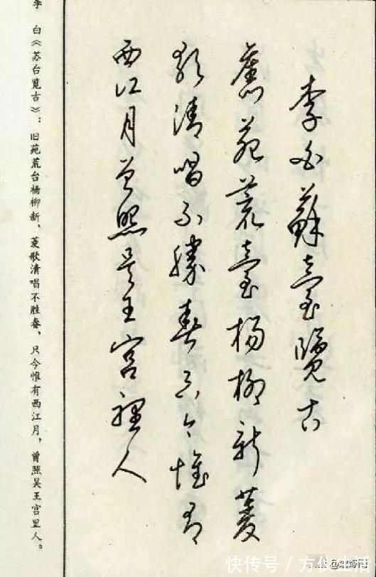 江南草木记.昙花!钢笔草书古诗词——经典老字帖,收藏慢慢练