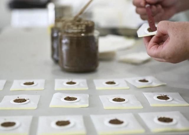 冬病夏治|今天入伏！这样养生最有效……