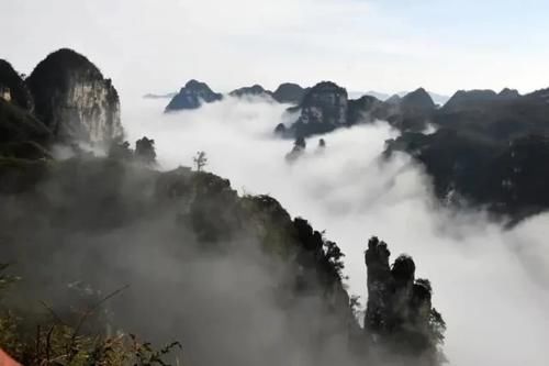 春日漫游，醉在油杉河的山河长卷里