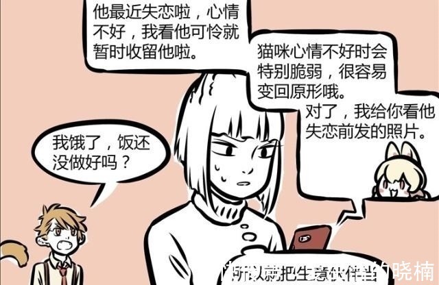 老虎|非人哉：老虎，再霸气也只是猫科动物，它也会有“失恋”的一天！