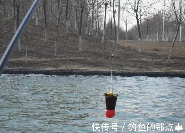 初春钓鱼,要知道“4钓、4不钓”,了解清楚,新手也能轻松爆护