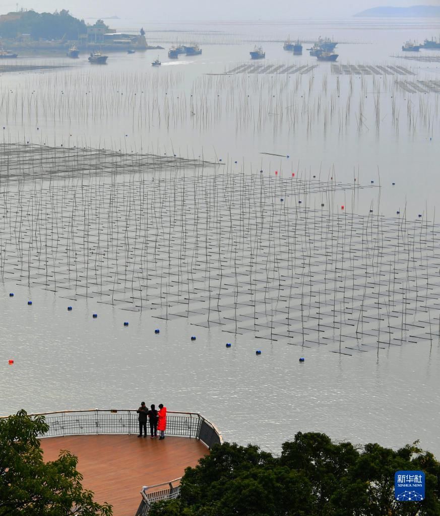 霞浦县|福建霞浦：冬日水墨滩涂