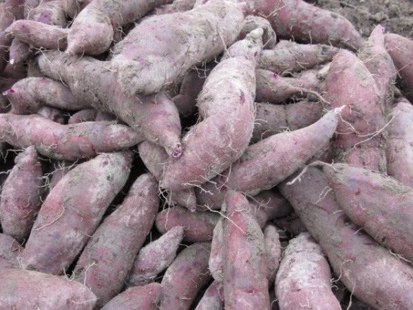 红衣|高血压要“忌嘴”,这4种食物要少吃,当心血压“难以下降”