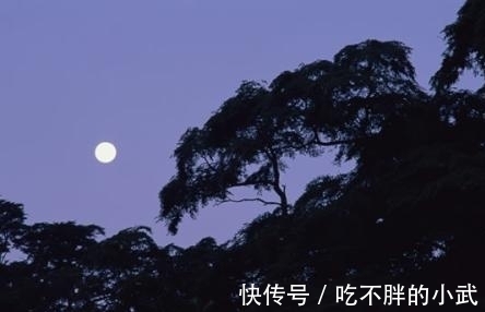 薄暮空潭曲|李端的一首禅诗,描写精细,简洁明丽,颈联更是景与意会