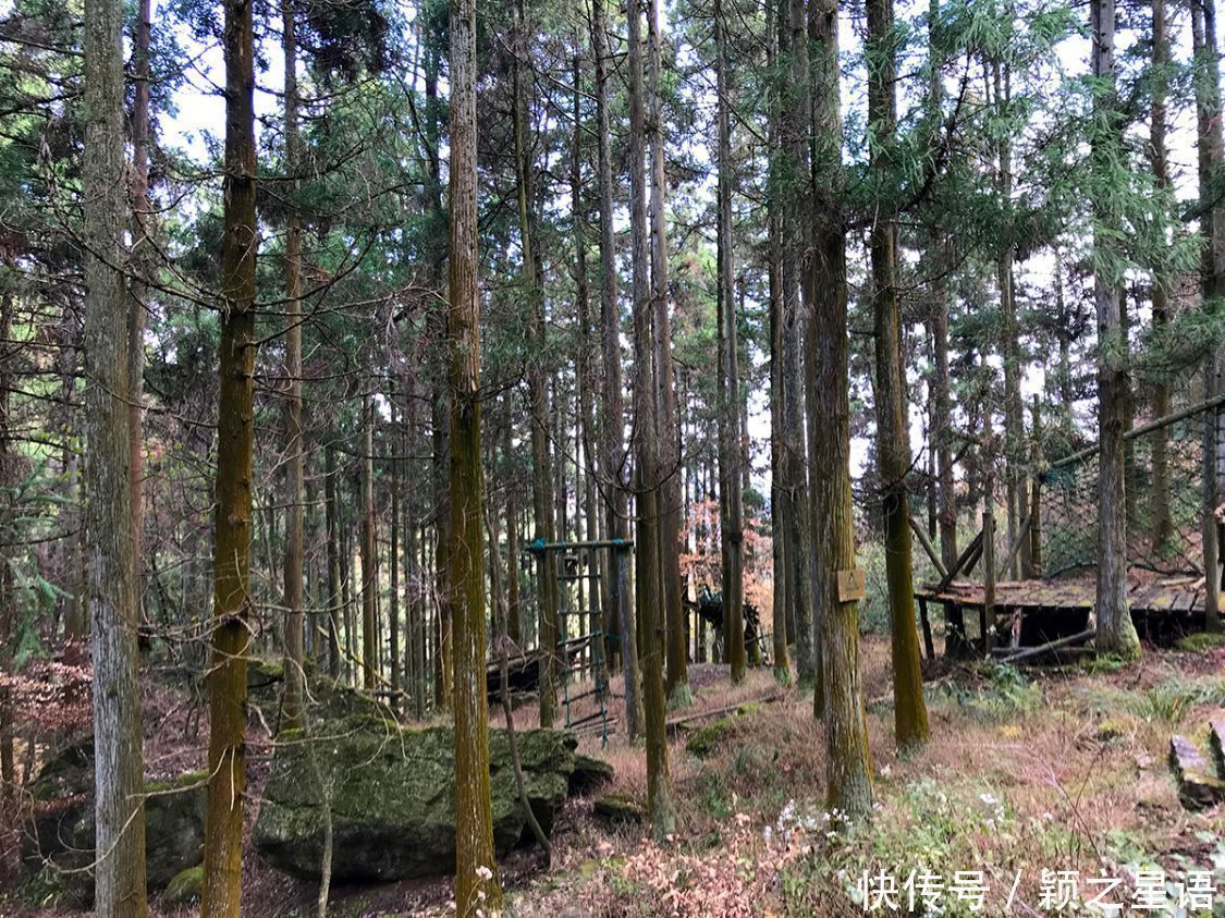 第二庐山商量岗，蒋宋别墅，防空洞和美龄泉