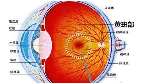 又一个1岁大的宝宝眼睛失明，年轻父母们都长点心吧！