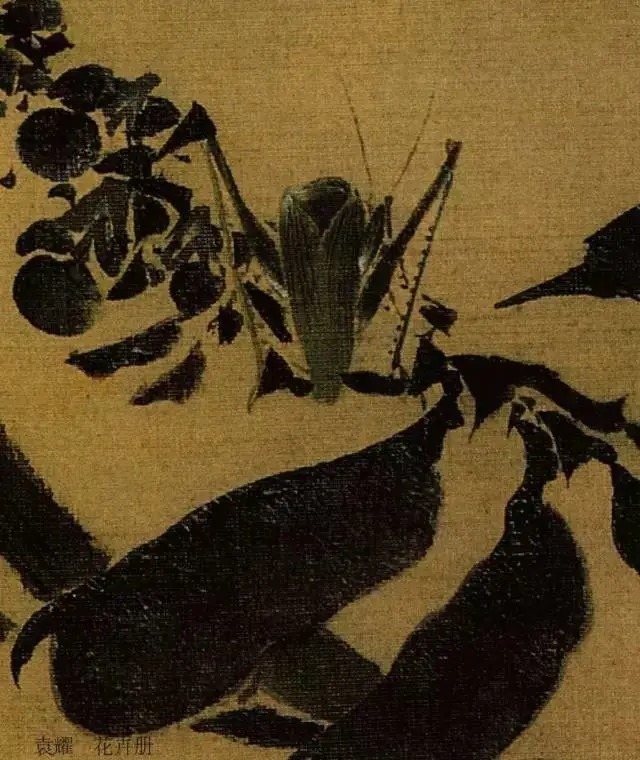 蝈蝈$国画技法图典——草虫篇:蝗虫 蚂蚱 蝈蝈 螽斯 螳螂 蟋蟀