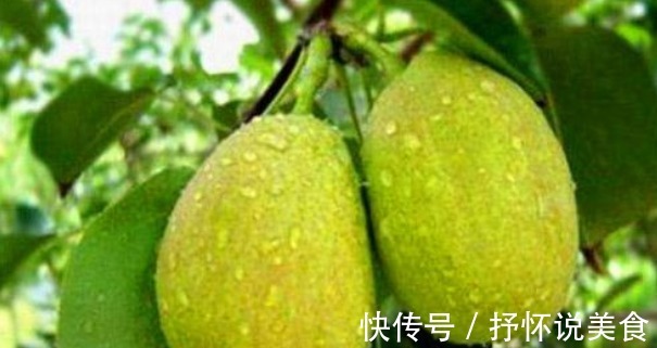 年轻|女性常吃以下食物,肌肤保持年轻红润,不长皱纹,抗衰老,更年轻