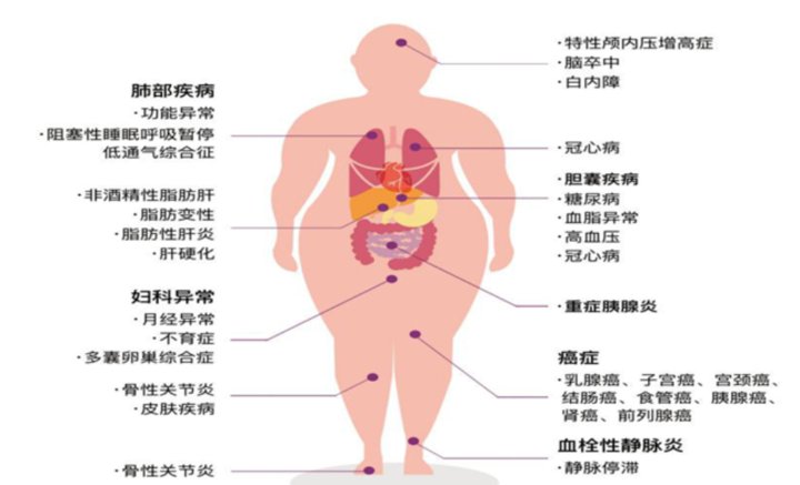 宋大夫|超重肥胖必看！山东电力中心医院“产品体验”招募活动开始啦