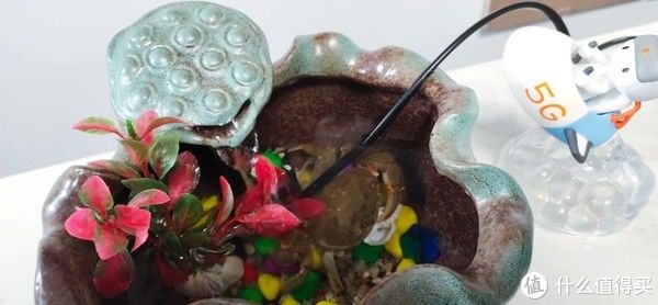 小呆评测 篇七十九：陶瓷质感高端大气，造型灵动焕发勃勃生机