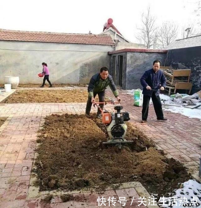 旧农舍改造成花园,一年四季花开不断,邻居看了羡慕的不得了!