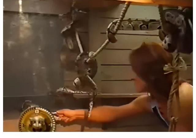 欧洲知名闯关综艺节目《城堡探险》宣布停止使用野生动物