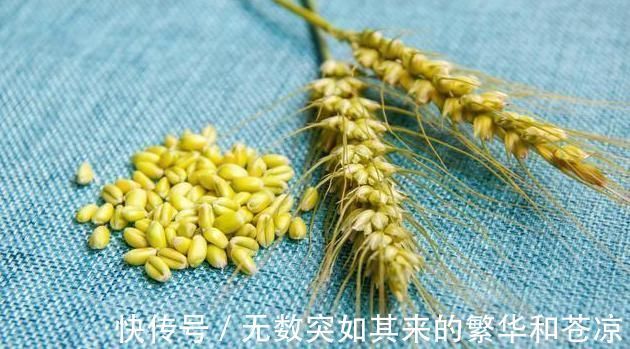 补气除热|一味不被人熟知的良药,李时珍却说它善于“补气除热、敛汗止汗”