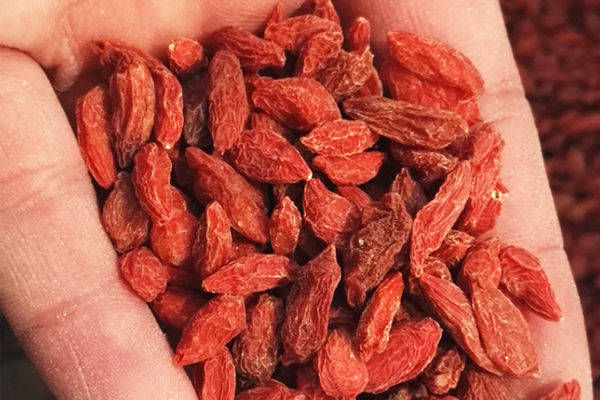 花青素|枸杞最营养的吃法不是泡水，也不是煮汤，很多人都吃浪费了
