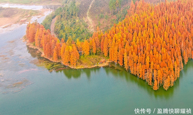 梦境|走进初冬的太子山，如同走进一场美丽的梦境