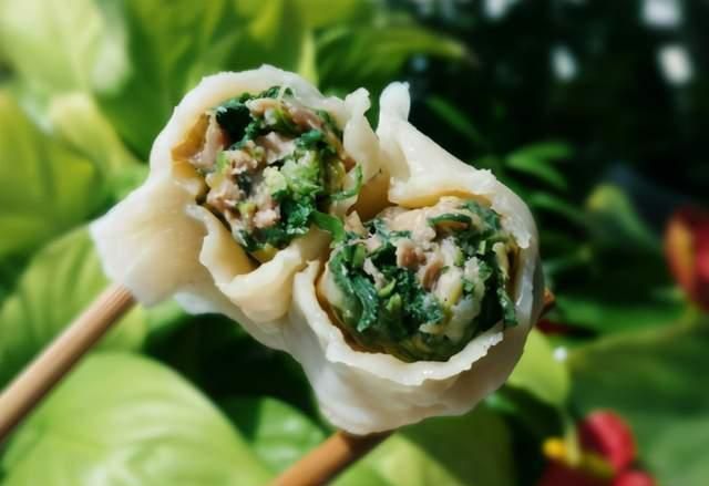 冬天吃饺子，我家最爱的馅，比白菜香比萝卜鲜，鲜嫩多汁还解馋