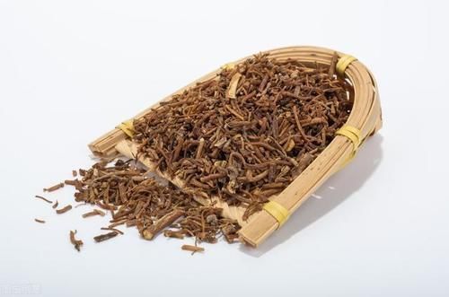 龙胆草|一味中药以龙为名,李时珍说“益肝胆之气”,神农说“久服益智”