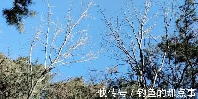 钓鱼|初春钓鱼,要知道“4钓、4不钓”,了解清楚,新手也能轻松爆护