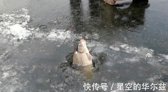 回升|想要鱼获就赶早,到底赶多早,季节不同不一样