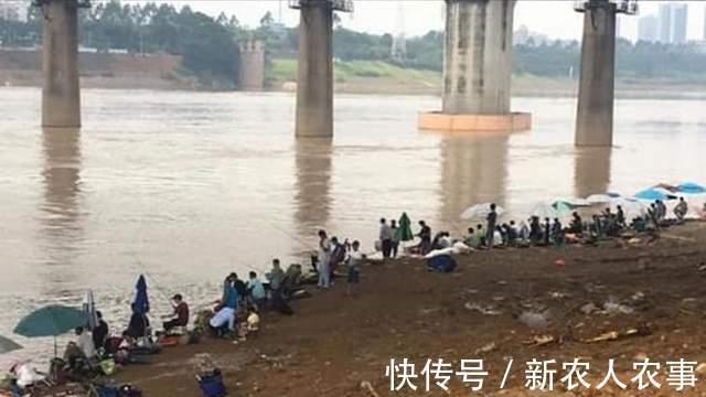 广西邕江边现罕见场景,钓鱼人纷纷打重窝,还带上帐篷和锅碗瓢盆