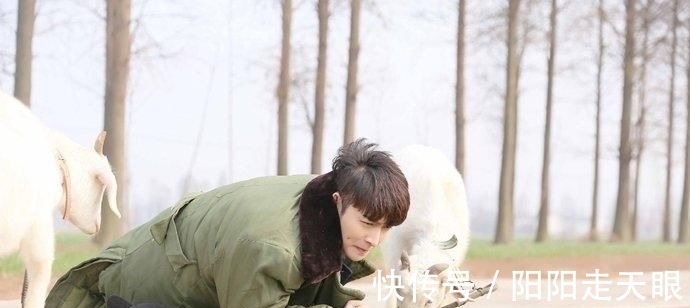 何炅|《向往的生活5》开播,黄磊翻窗偷梨吃,张艺兴刚登场就露一手!