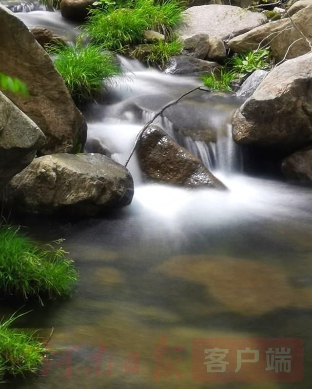 鲁山:醉美人间四月天 诗景龙潭赏杜鹃