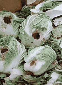 |搞笑GIF:长点心吧 对面住的可都是单身汉啊