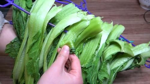 泡酸菜别只加盐，30年老方法告诉你，又酸又脆，放一年不会坏