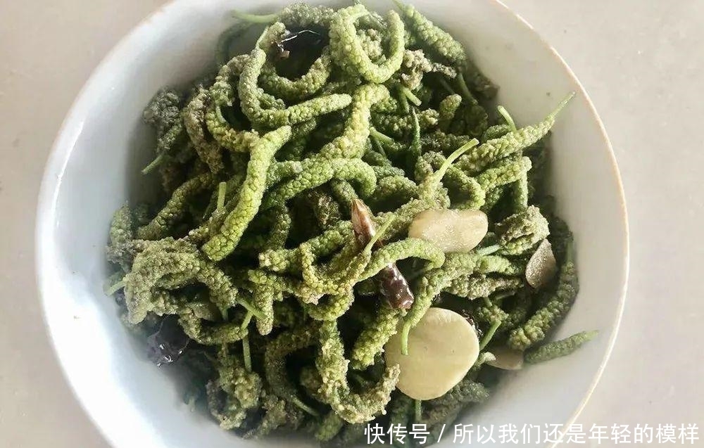 這種樹上野菜，兒時一摘數十斤，上鍋一蒸就是美味，城里很難買到