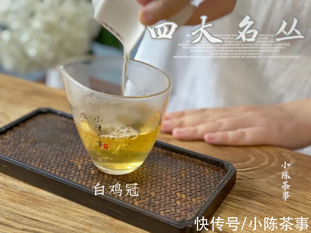 岩茶#从铁罗汉、水金龟、半天妖，再到白鸡冠，四大名丛见证岩茶的历史