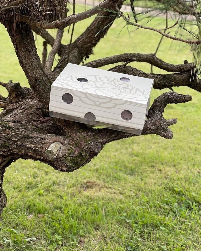 white 飞翼鞋盒太酷了!OW x AJ2 最新图片泄露!下月正式发售