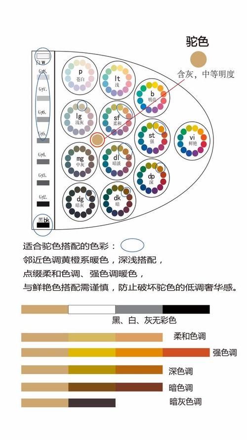驼色服装的色彩搭配