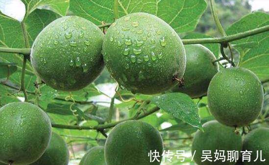 菠萝蜜|女人不想老的快，吃三种食物，排毒抗衰，润肠护肤，早吃早好