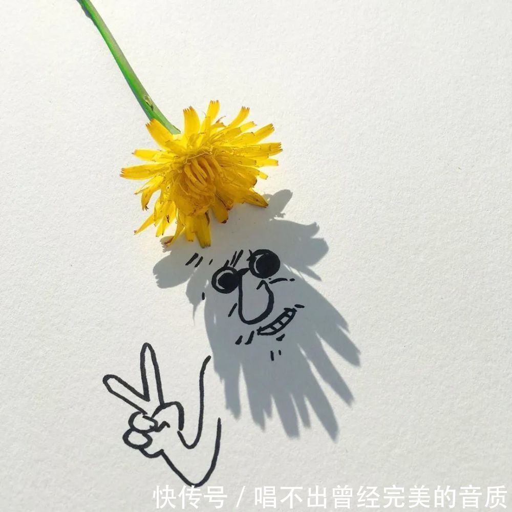 脑洞大开|80后导演不务正业，脑洞大开用影子作画，68万网友天天在线催更！