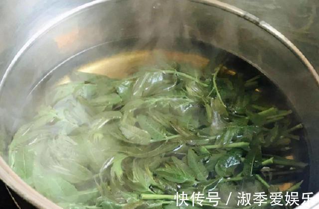 蔬菜|需要焯水才能吃得4种蔬菜，很多人都忽略这一步，吃了肚子不舒服