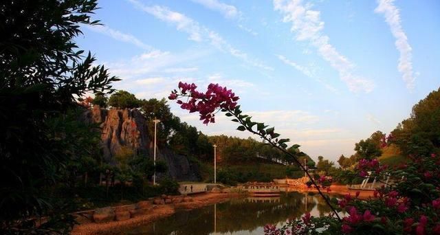 鲁迅痛骂林微音,林微音不是林徽因,林徽因却为了他而改名